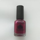 Smalto colore LCN 8 ml purple chic.